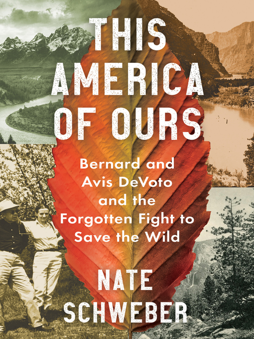 Title details for This America of Ours by Nate Schweber - Available